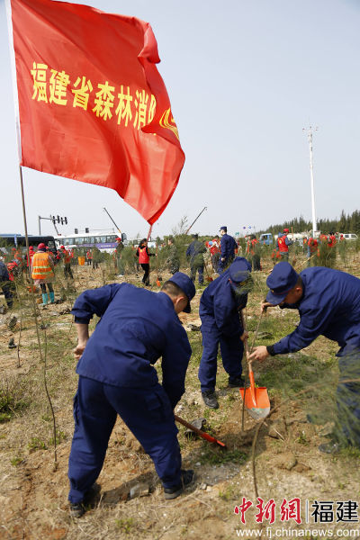 圖為森林消防員參加植樹活動(dòng)。