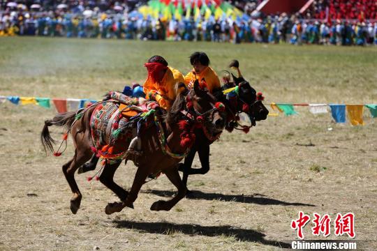 資料圖為青海玉樹賽馬會(huì)?！×_云鵬 攝