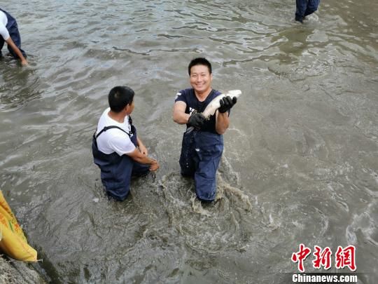 　　22日，2019羅源·中房健身休閑旅游豐收節(jié)暨古鎮(zhèn)探寶活動在羅源縣中房鎮(zhèn)舉行。圖為趣味水中摸魚比賽現(xiàn)場?！∮岷闃?biāo) 攝