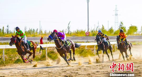 賽場上，駿馬風馳電掣般沖向終點?！∫χt 攝