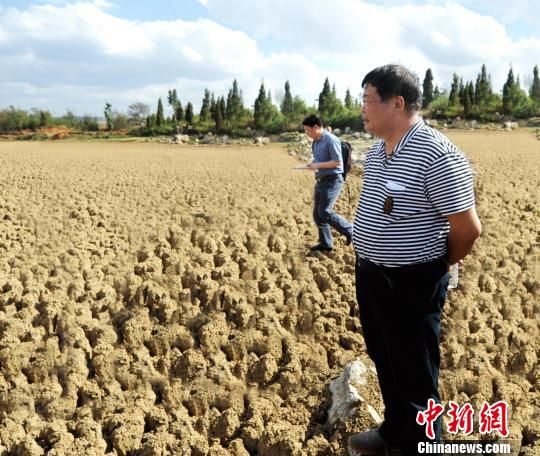 　近日，福耀玻璃工業(yè)集團(tuán)股份有限公司創(chuàng)始人、董事長(zhǎng)，中國(guó)光彩事業(yè)促進(jìn)會(huì)副會(huì)長(zhǎng)曹德旺接受中新社記者專訪。據(jù)了解，從1983年的第一筆2000元人民幣開始，到2018年他已捐出近50%的個(gè)人資產(chǎn)共110億元，用于慈善事業(yè)。2010年，得知中國(guó)西南五省遭受嚴(yán)重旱災(zāi)，曹德旺多次深入云、貴、川了解災(zāi)情，并捐款2億元，幫助近10萬受災(zāi)戶。圖為2010年5月19日，曹德旺在位于云南省陸良縣的天生壩水庫(kù)，這個(gè)原本庫(kù)容120萬立方米的水庫(kù)當(dāng)時(shí)已干涸見底?！＄娦?攝