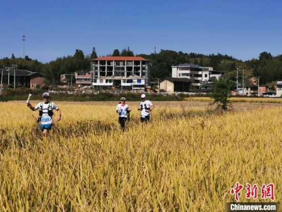 　　第八屆福州定向越野公開(kāi)賽11月10日在永泰縣大洋鎮(zhèn)舉行。來(lái)自福州、泉州、漳州、廈門(mén)等地的400多名定向運(yùn)動(dòng)愛(ài)好者于此開(kāi)啟了一場(chǎng)以莊寨文化為尋訪主題的越野盛會(huì)。圖為選手們?cè)诒荣愔??！∮岷闃?biāo) 攝