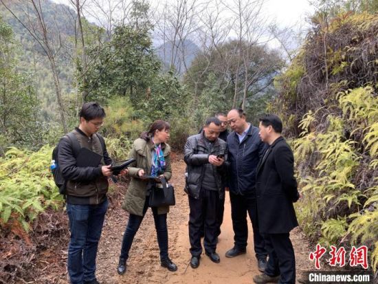 1月13日，武夷山國家公園管理局領(lǐng)導(dǎo)率生態(tài)部技術(shù)人員與執(zhí)法支隊(duì)人員核查中。　武國公園管理局 攝