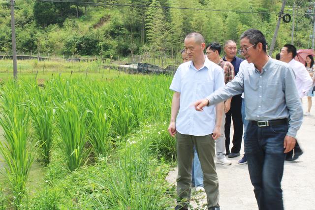 寧德市科協(xié)開展科技志愿服務 推進農業(yè)產業(yè)提質增效